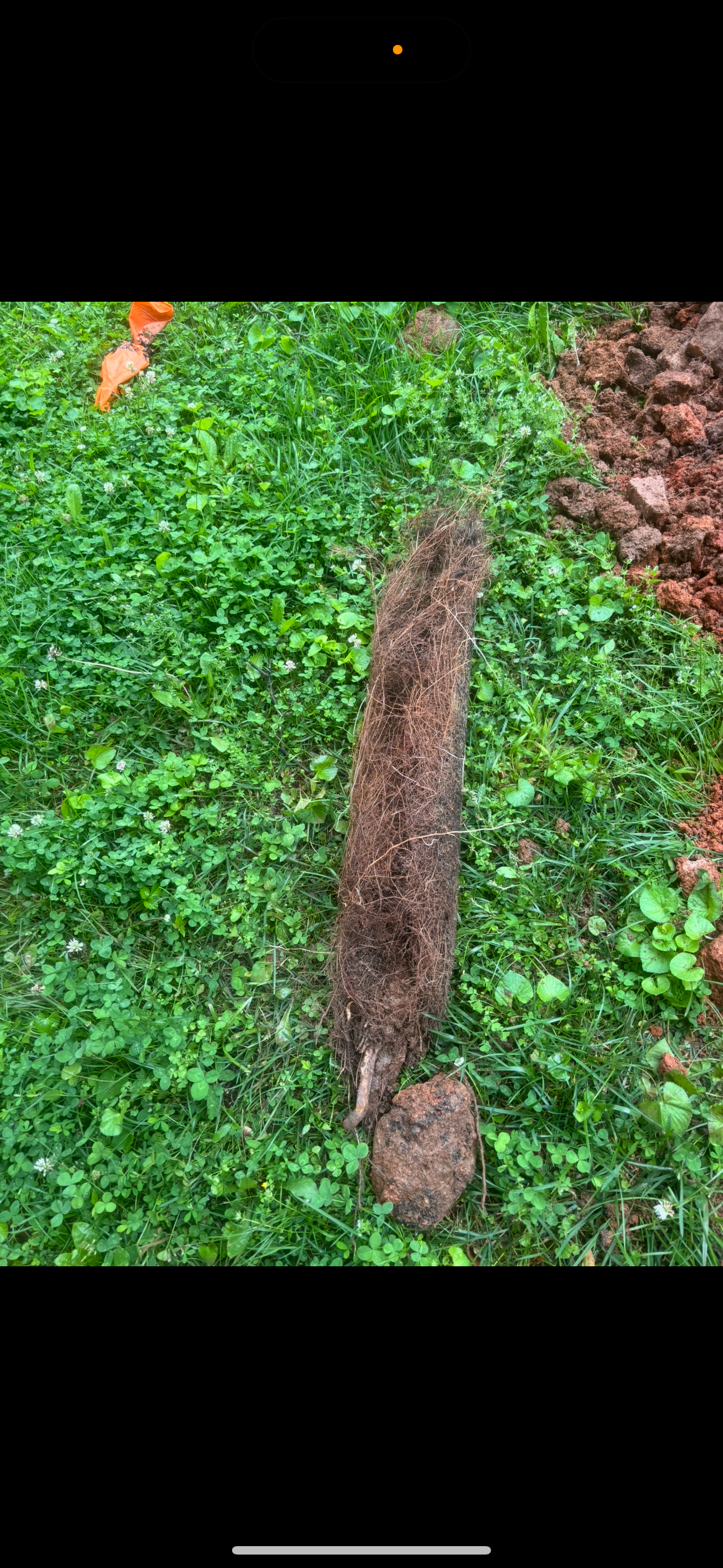 Nine to Pipe Project 3